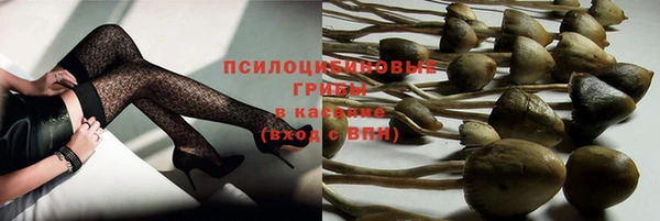 скорость Пересвет