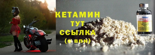 стаф Аркадак