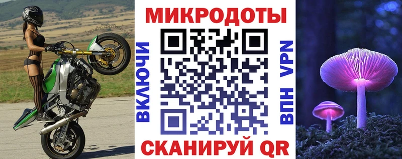 Псилоцибиновые грибы Psilocybe  Усть-Илимск 